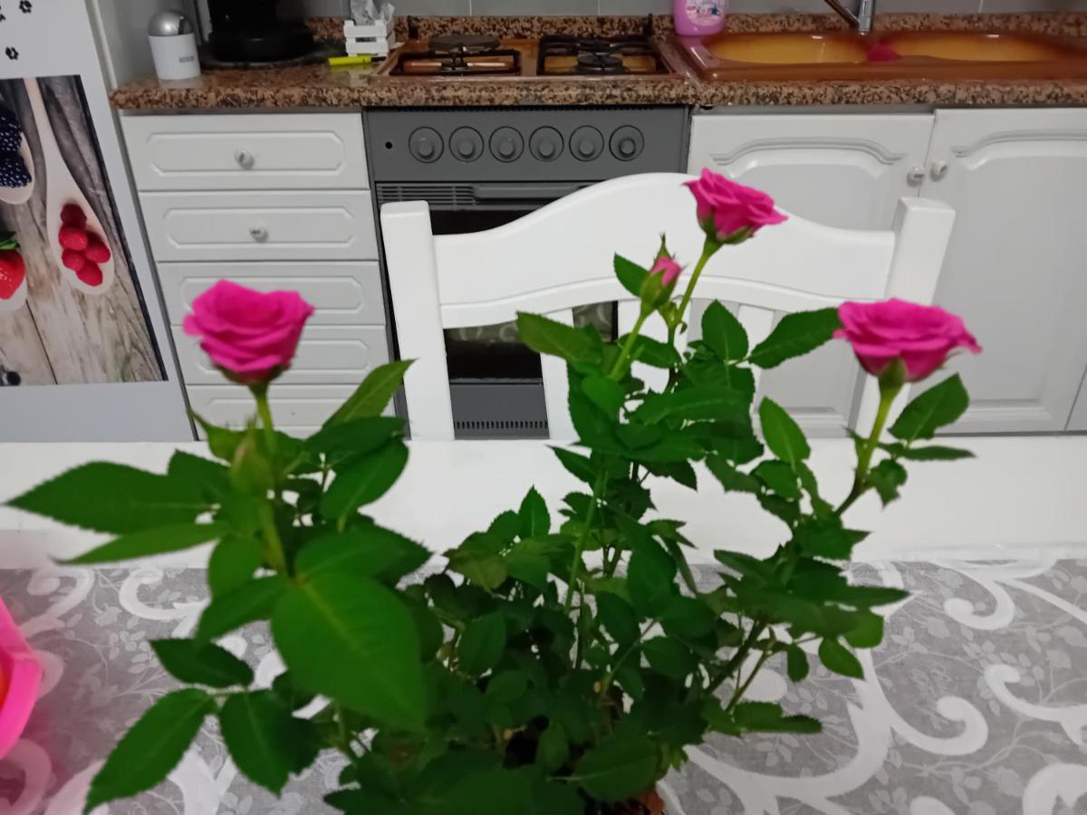 Casa Passamonte Appartement Palermo Buitenkant foto